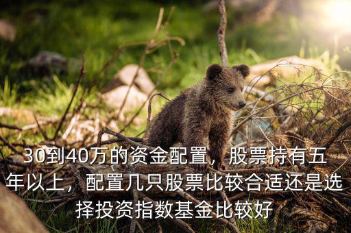 30到40萬的資金配置，股票持有五年以上，配置幾只股票比較合適還是選擇投資指數(shù)基金比較好