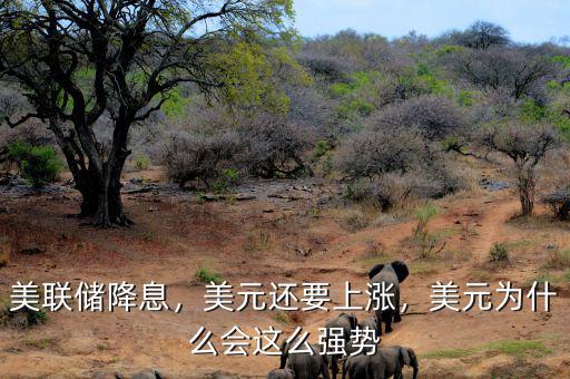 美聯(lián)儲(chǔ)降息，美元還要上漲，美元為什么會(huì)這么強(qiáng)勢(shì)