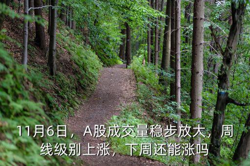 11月6日，A股成交量穩(wěn)步放大，周線級(jí)別上漲，下周還能漲嗎