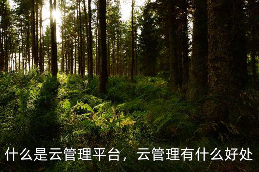什么是云管理平臺(tái)，云管理有什么好處