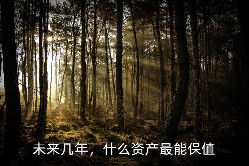 未來幾年，什么資產(chǎn)最能保值