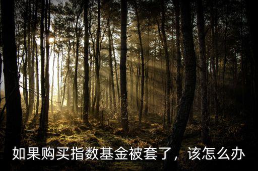 如果購(gòu)買指數(shù)基金被套了，該怎么辦