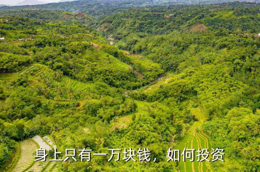 身上只有一萬塊錢，如何投資