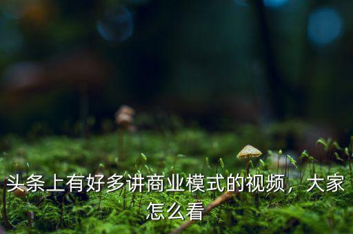 頭條上有好多講商業(yè)模式的視頻，大家怎么看