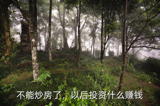 不能炒房了，以后投資什么賺錢