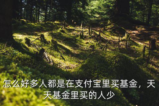怎么好多人都是在支付寶里買(mǎi)基金，天天基金里買(mǎi)的人少