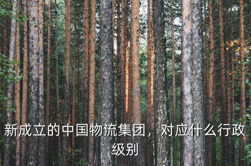 新成立的中國(guó)物流集團(tuán)，對(duì)應(yīng)什么行政級(jí)別
