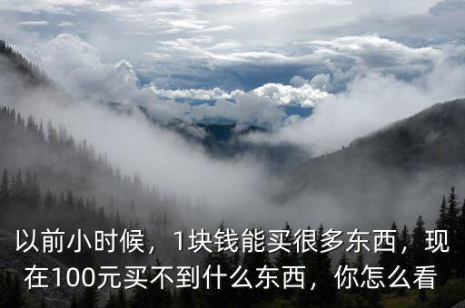 以前小時(shí)候，1塊錢能買很多東西，現(xiàn)在100元買不到什么東西，你怎么看