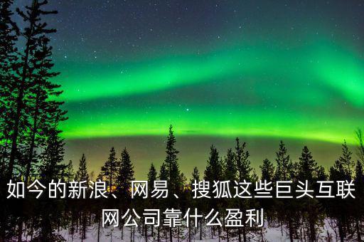 如今的新浪、網(wǎng)易、搜狐這些巨頭互聯(lián)網(wǎng)公司靠什么盈利