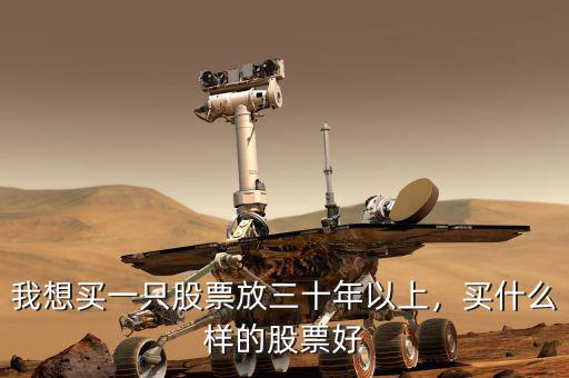 我想買(mǎi)一只股票放三十年以上，買(mǎi)什么樣的股票好