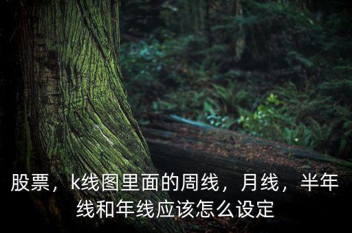 股票，k線圖里面的周線，月線，半年線和年線應(yīng)該怎么設(shè)定