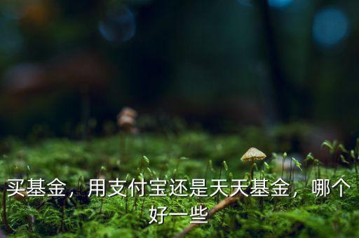 買基金，用支付寶還是天天基金，哪個(gè)好一些