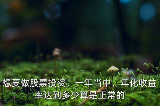 想要做股票投資，一年當中，年化收益率達到多少算是正常的