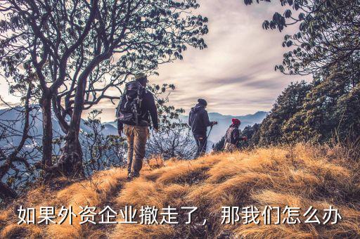 如果外資企業(yè)撤走了，那我們?cè)趺崔k