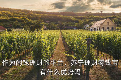 作為閑錢(qián)理財(cái)?shù)钠脚_(tái)，蘇寧理財(cái)零錢(qián)寶有什么優(yōu)勢(shì)嗎