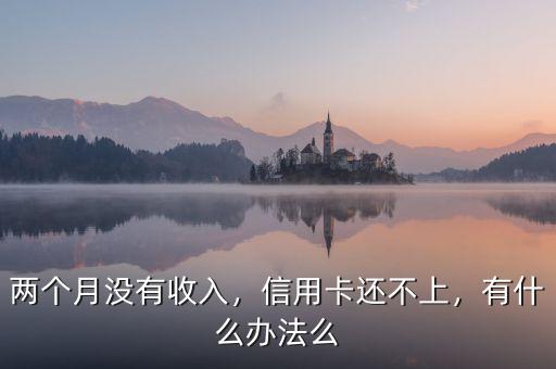 兩個(gè)月沒有收入，信用卡還不上，有什么辦法么