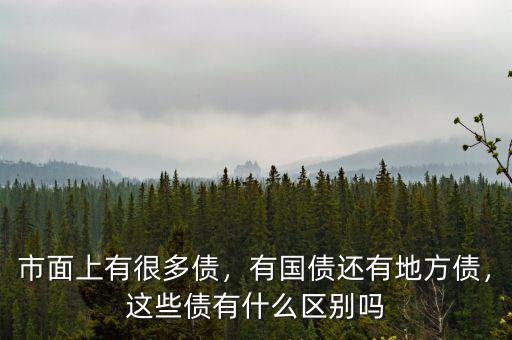 市面上有很多債，有國債還有地方債，這些債有什么區(qū)別嗎