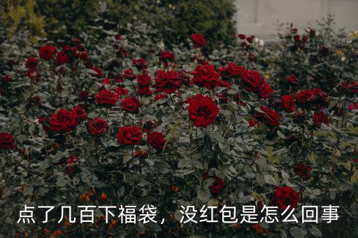 點(diǎn)了幾百下福袋，沒紅包是怎么回事