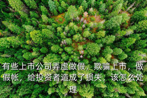 有些上市公司弄虛做假，欺騙上市，做假帳，給投資者造成了損失，該怎么處理