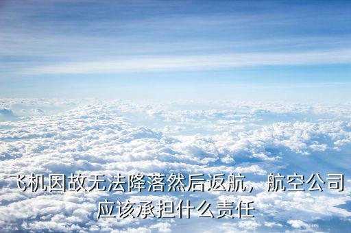 飛機因故無法降落然后返航，航空公司應該承擔什么責任