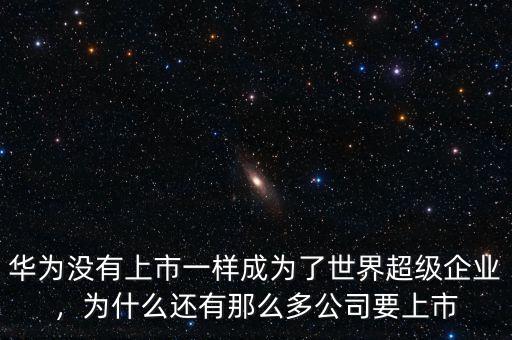 華為沒(méi)有上市一樣成為了世界超級(jí)企業(yè)，為什么還有那么多公司要上市
