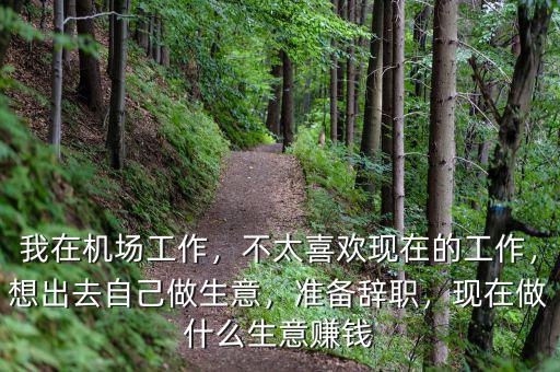 我在機(jī)場(chǎng)工作，不太喜歡現(xiàn)在的工作，想出去自己做生意，準(zhǔn)備辭職，現(xiàn)在做什么生意賺錢