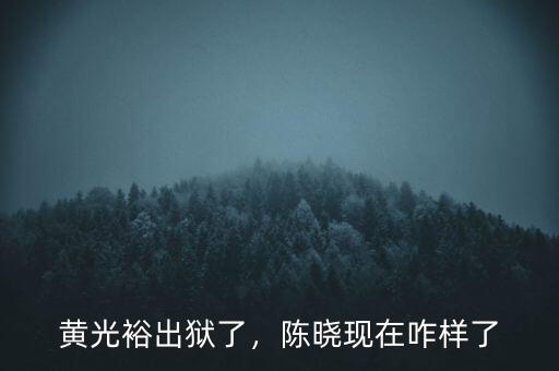 黃光裕出獄了，陳曉現(xiàn)在咋樣了