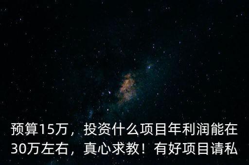 預(yù)算15萬(wàn)，投資什么項(xiàng)目年利潤(rùn)能在30萬(wàn)左右，真心求教！有好項(xiàng)目請(qǐng)私