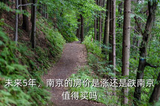 未來5年，南京的房?jī)r(jià)是漲還是跌南京值得買嗎