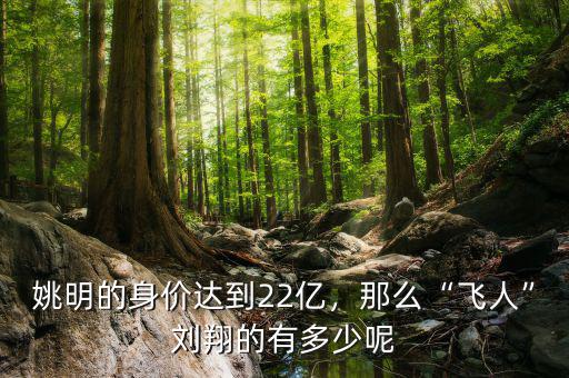 姚明的身價達到22億，那么“飛人”劉翔的有多少呢