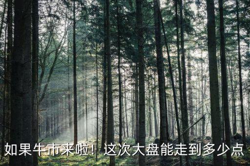 如果牛市來啦！這次大盤能走到多少點