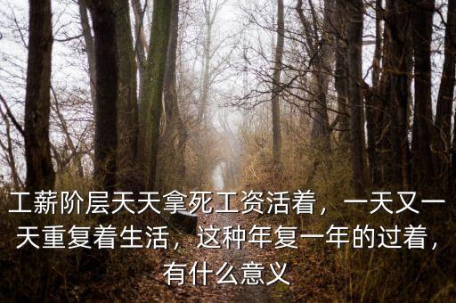工薪階層天天拿死工資活著，一天又一天重復著生活，這種年復一年的過著，有什么意義