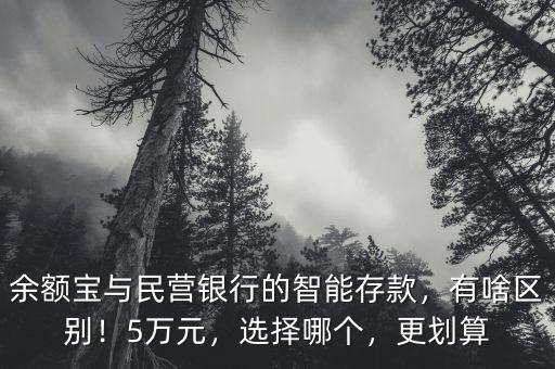 余額寶與民營銀行的智能存款，有啥區(qū)別！5萬元，選擇哪個，更劃算