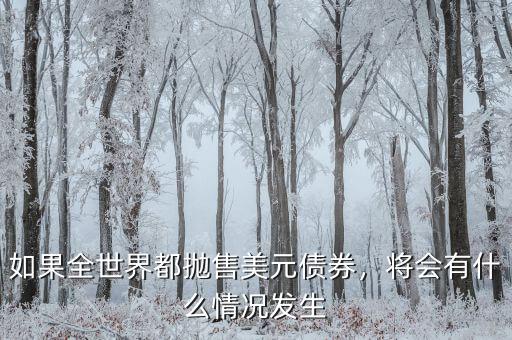 如果全世界都拋售美元債券，將會(huì)有什么情況發(fā)生
