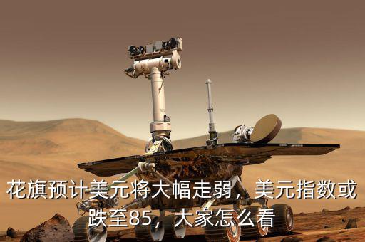 花旗預(yù)計(jì)美元將大幅走弱，美元指數(shù)或跌至85，大家怎么看