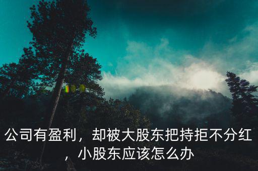 公司有盈利，卻被大股東把持拒不分紅，小股東應(yīng)該怎么辦