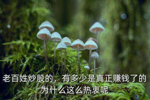 老百姓炒股的，有多少是真正賺錢了的為什么這么熱衷呢