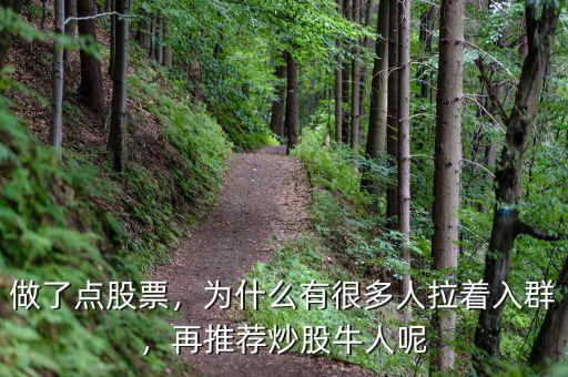 做了點(diǎn)股票，為什么有很多人拉著入群，再推薦炒股牛人呢