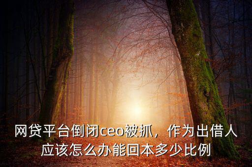 網(wǎng)貸平臺(tái)倒閉ceo被抓，作為出借人應(yīng)該怎么辦能回本多少比例