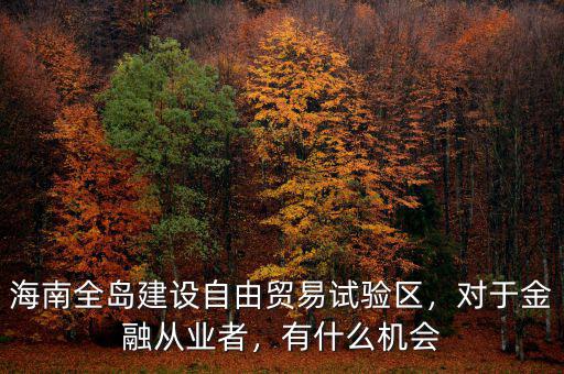 海南全島建設(shè)自由貿(mào)易試驗區(qū)，對于金融從業(yè)者，有什么機會