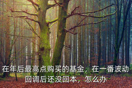 在年后最高點購買的基金，在一番波動回調(diào)后還沒回本，怎么辦