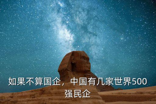 如果不算國企，中國有幾家世界500強(qiáng)民企