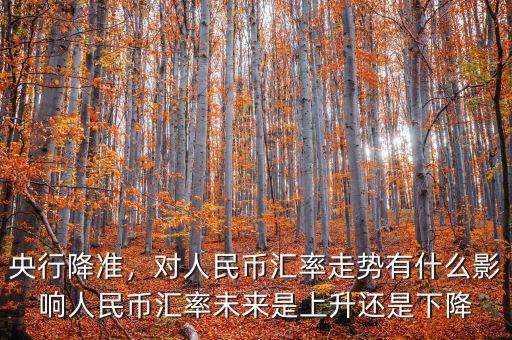 央行降準，對人民幣匯率走勢有什么影響人民幣匯率未來是上升還是下降