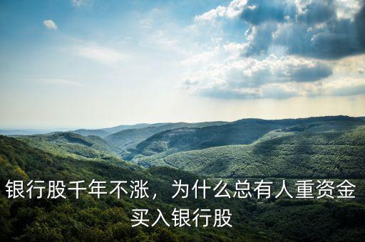 銀行股千年不漲，為什么總有人重資金買入銀行股