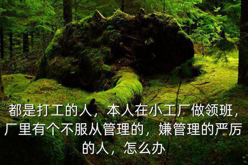 都是打工的人，本人在小工廠做領班，廠里有個不服從管理的，嫌管理的嚴厲的人，怎么辦