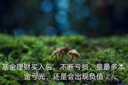 基金理財(cái)買入后，不斷虧損，是最多本金虧光，還是會(huì)出現(xiàn)負(fù)值