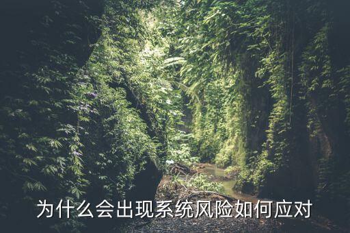 為什么會出現(xiàn)系統(tǒng)風(fēng)險如何應(yīng)對