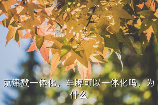 京津冀一體化，車牌可以一體化嗎，為什么