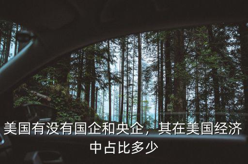 美國有沒有國企和央企，其在美國經(jīng)濟(jì)中占比多少