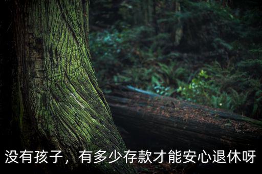 沒有孩子，有多少存款才能安心退休呀